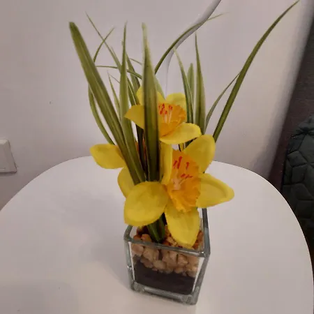 24 Silonce Gruppe Stilvolles Im Kreis Olpe Parkplatz & Qualitaet Bilstein