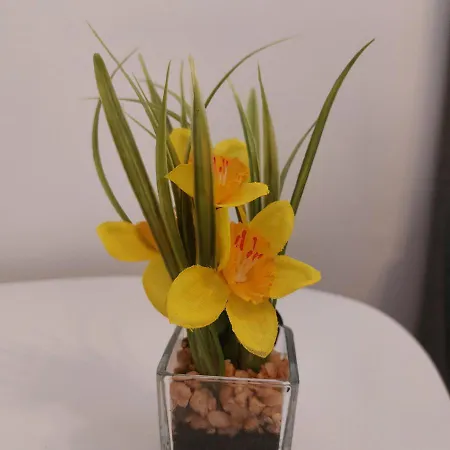 Отель 24 Silonce Gruppe Stilvolles Im Kreis Olpe Parkplatz & Qualitaet *