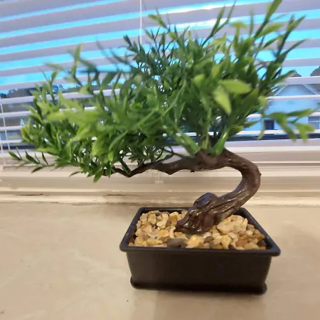 Hotel 24 Silonce Gruppe Stilvolles Im Kreis Olpe Parkplatz & Qualitaet *