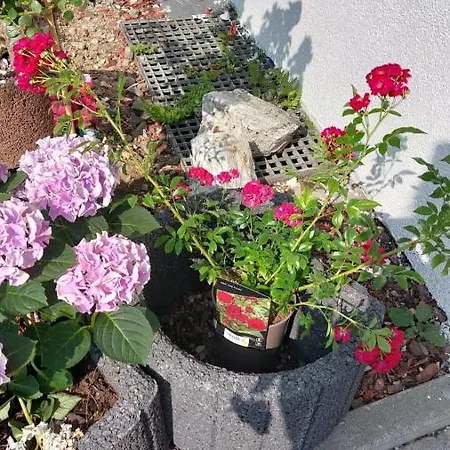 Hotell 24 Silonce Gruppe Stilvolles Im Kreis Olpe Parkplatz & Qualitaet Bilstein