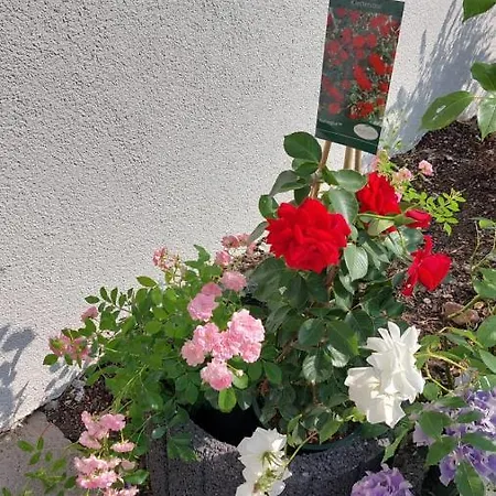 Отель 24 Silonce Gruppe Stilvolles Im Kreis Olpe Parkplatz & Qualitaet