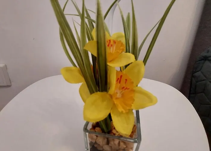 24 Silonce Gruppe Stilvolles Im Kreis Olpe Parkplatz & Qualitaet Bilstein