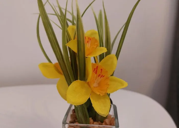 Hotel 24 Silonce Gruppe Stilvolles Im Kreis Olpe Parkplatz & Qualitaet *