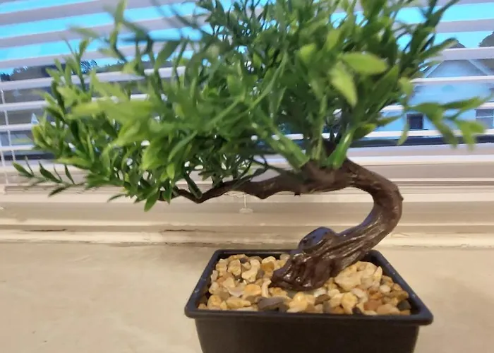 Otel 24 Silonce Gruppe Stilvolles Im Kreis Olpe Parkplatz & Qualitaet *